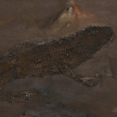 谢克安 枯叶蜥30cm·40cm2012年 