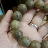 汪富英 越南奇楠种牙庄倒架，规格1.6cm，20.6克