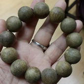 汪富英 越南牙庄奇楠种倒架。规格1.8cm，23克。