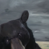 石高青 石高青 《熊》2015年 布上油画 80x60cm 