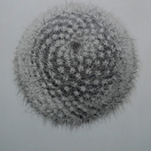 赵波 《不孤独》系列之二 作者：赵波,作品类别：纸本铅笔素描,2013,100cm×85cm