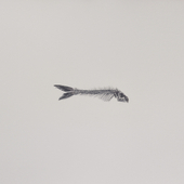赵波 名称：《不孤独》系列之九作者：赵波，作品类别：纸本铅笔素描， 2014,60cm×60cm
