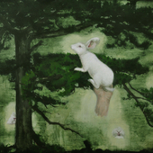 汪燎 兔子如何在树上 
