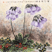 紫玉报春  67×67  20