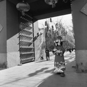 袁佳联 北京·春节·地坛庙会2012-1