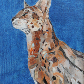 褚先宇 《豹猫》40x30cm  布面油画 2016年